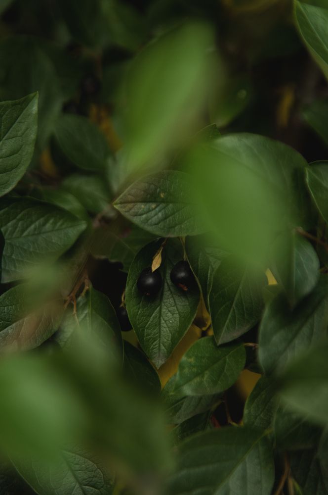 Фотография автора Мила Раткина