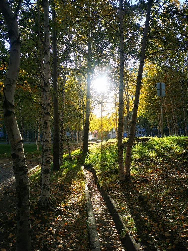 Photograph by Юлия Шарова