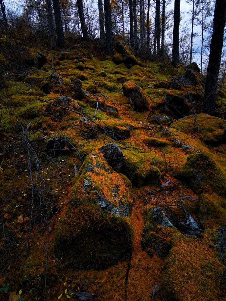 Photograph by Юлия Шарова
