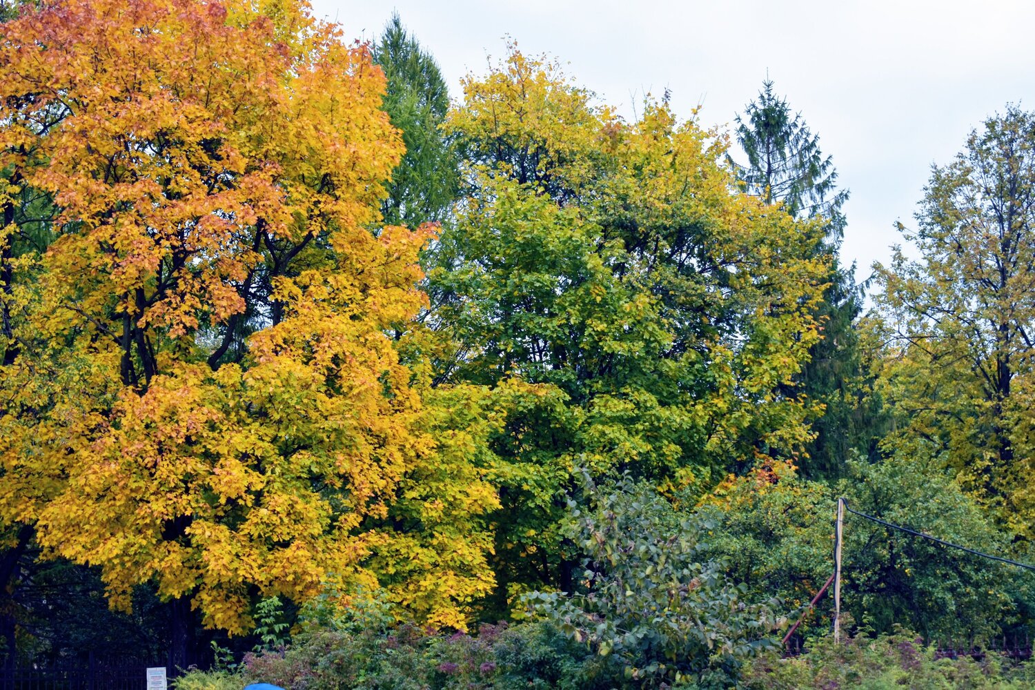 Photo #8103309