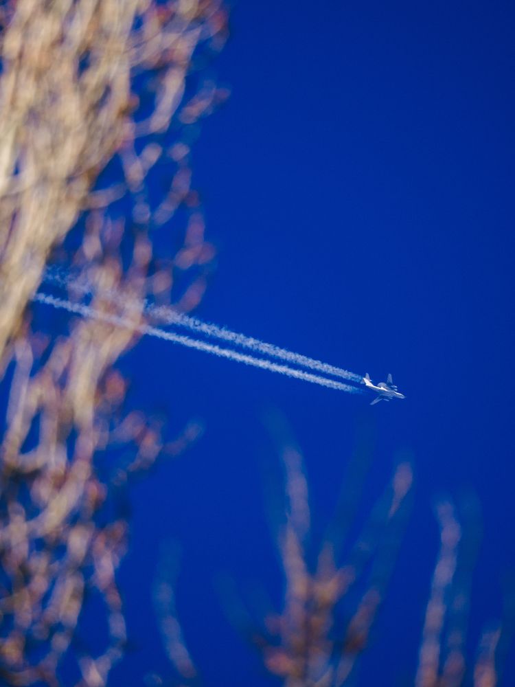 Photograph by Степанец Дмитрий