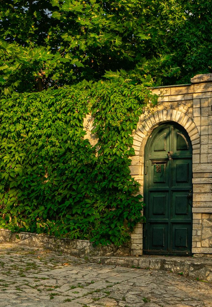 Photograph by Ксения Илюшина