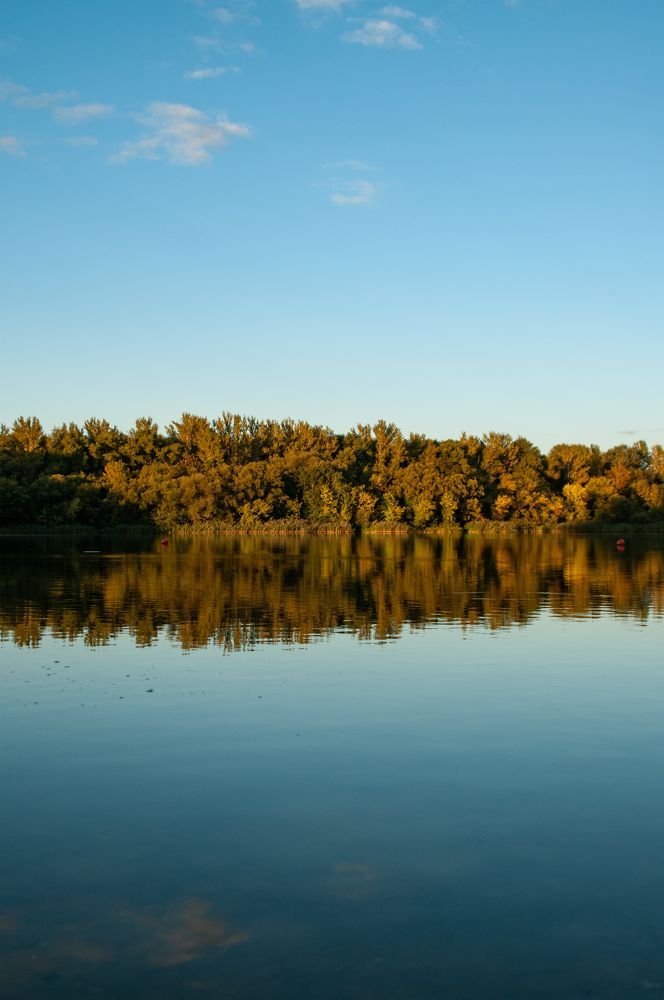 Фотография автора Мила Раткина