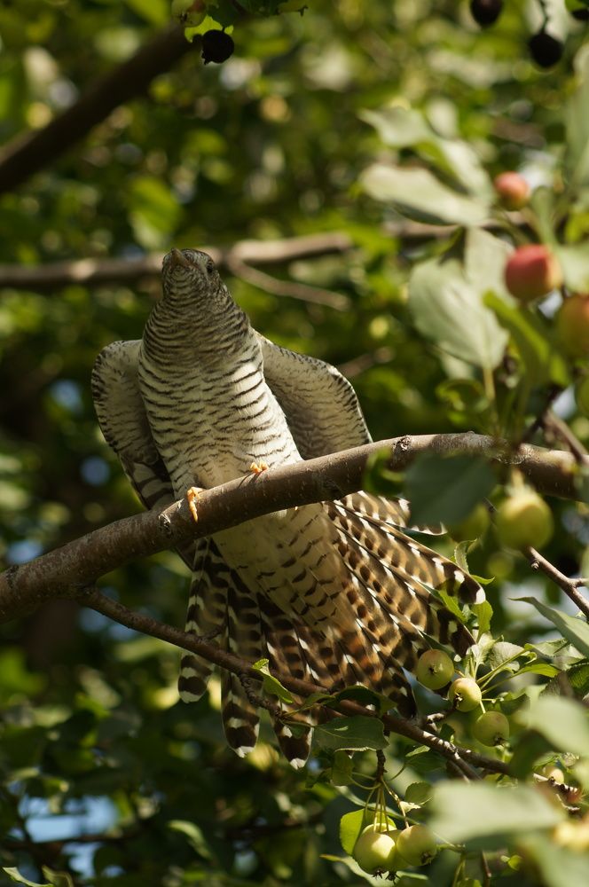 Photograph by Дарья Ринас