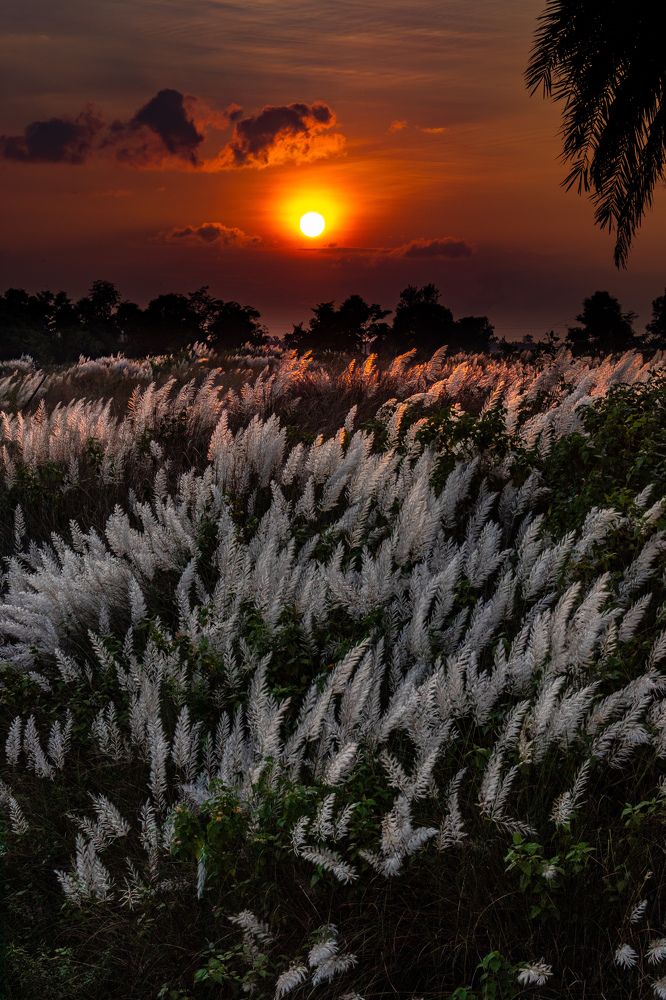 Фотография автора Subhadeep Chakraborty