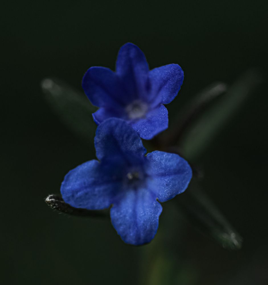 Photograph by Евгения Гудкова