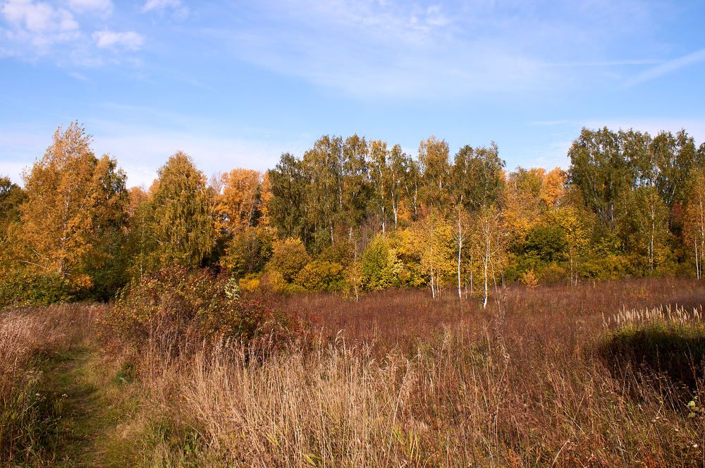 Photograph by Igor Kochkin