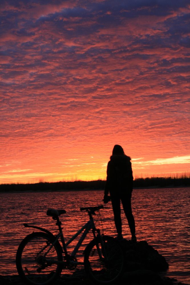 Фотография автора Татьяна Шебаршенко