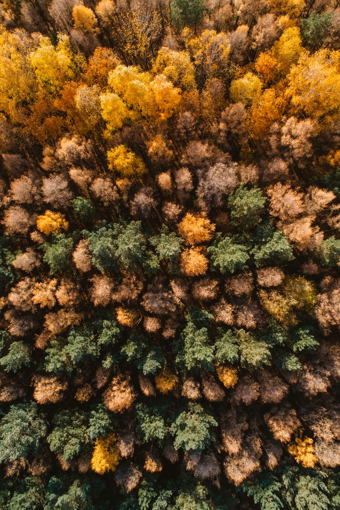 Photograph by Денис Ворсобин