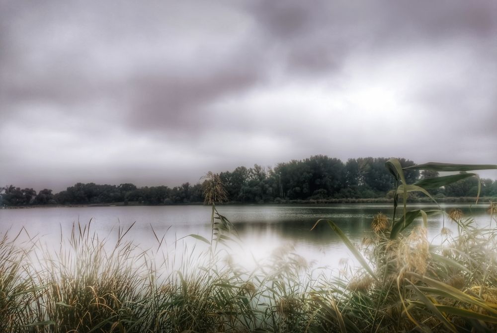 Фотография автора Nomin Jerabek