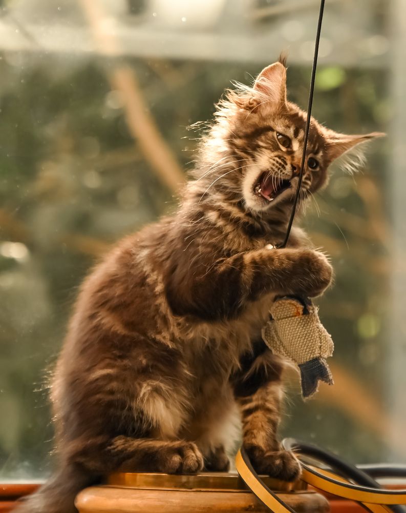 Photograph by Милана Бабченко