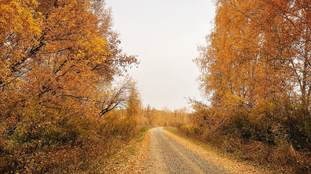 Photograph by Tatyana Aksenenko