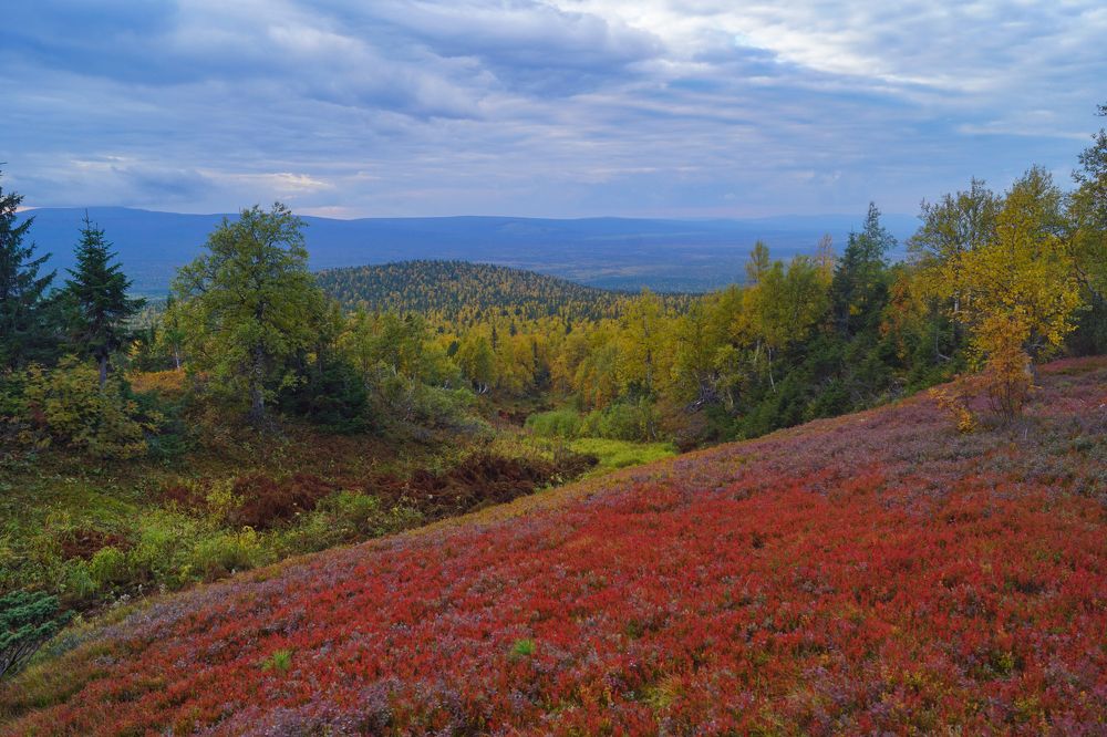 Photograph by Квасов Виктор