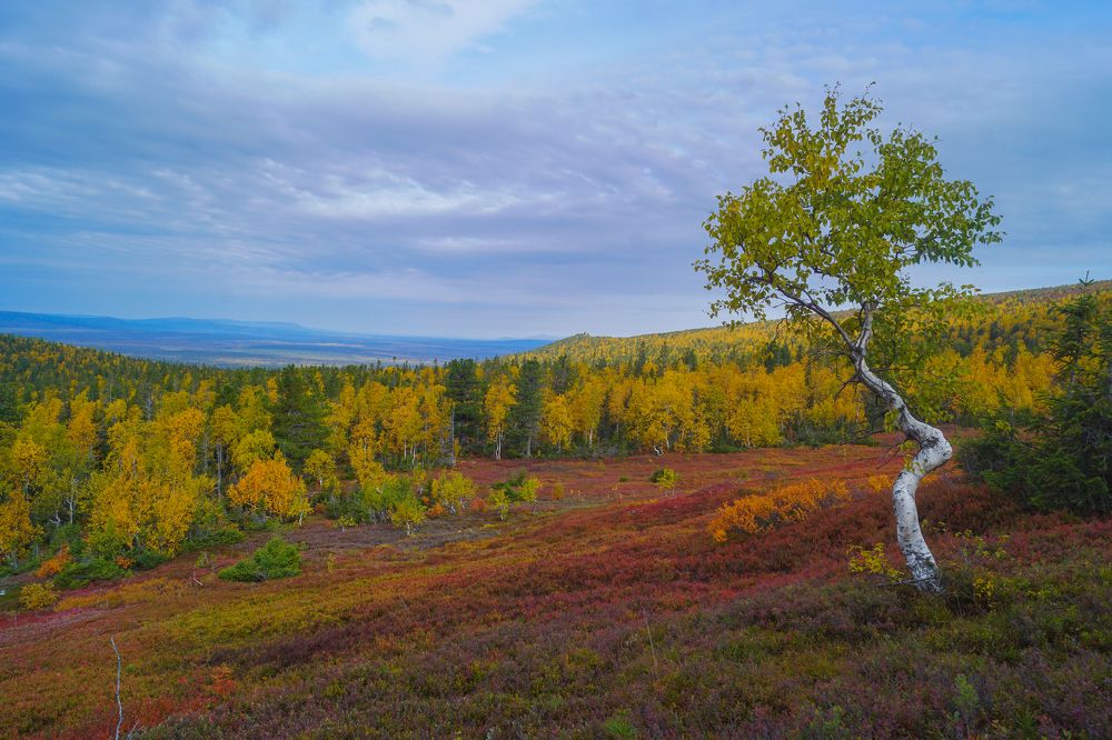 Photograph by Квасов Виктор