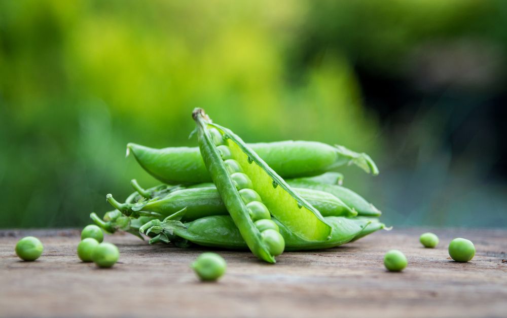 Photograph by Мария Купревич