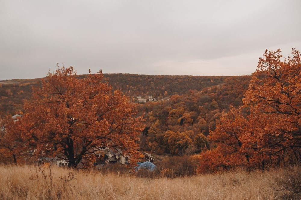 Photograph by Анастасия Ивахнова