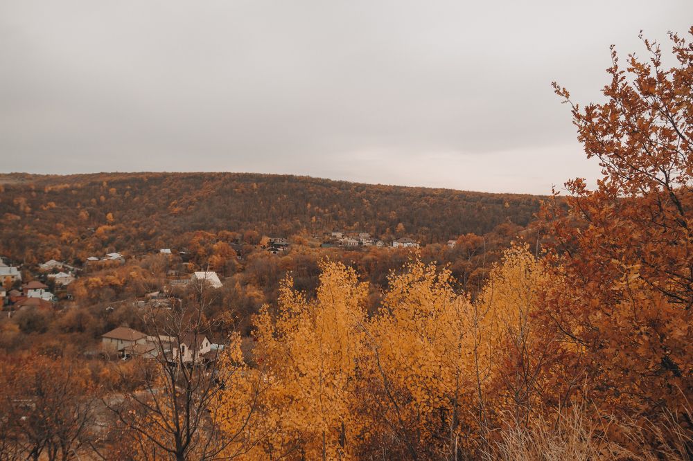 Photograph by Анастасия Ивахнова