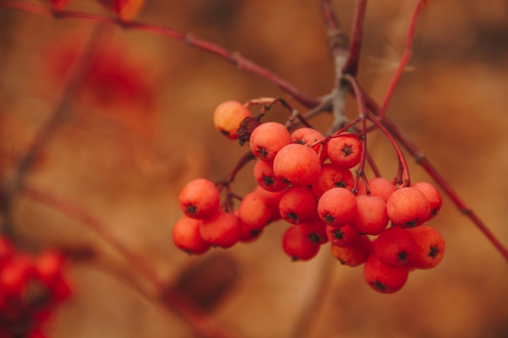 Photograph by Анастасия Ивахнова