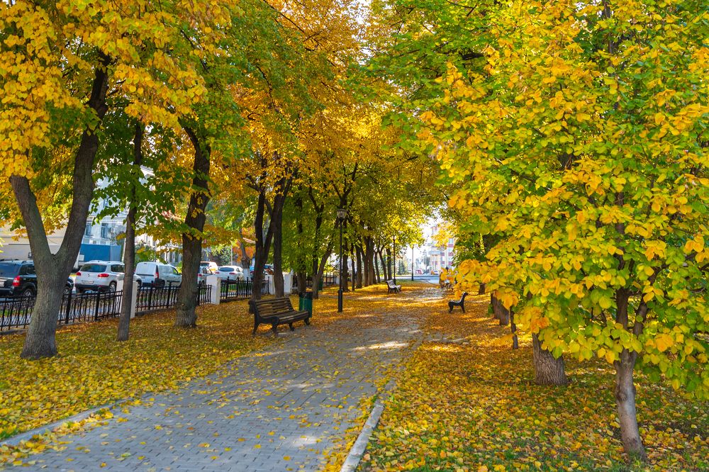 Photograph by Андрей Пшеничников