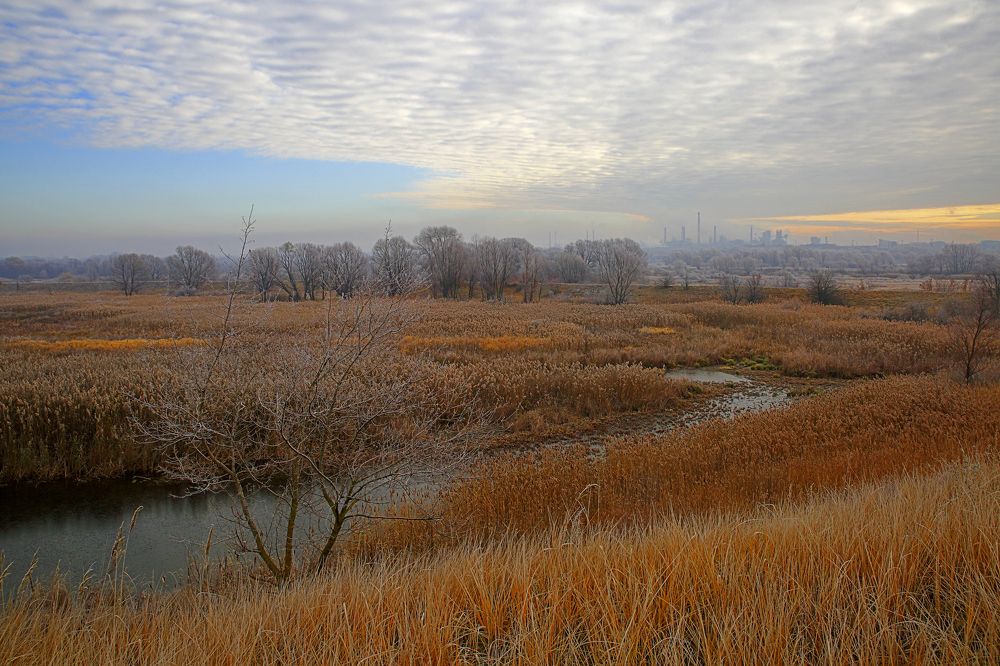 Photograph by laborant