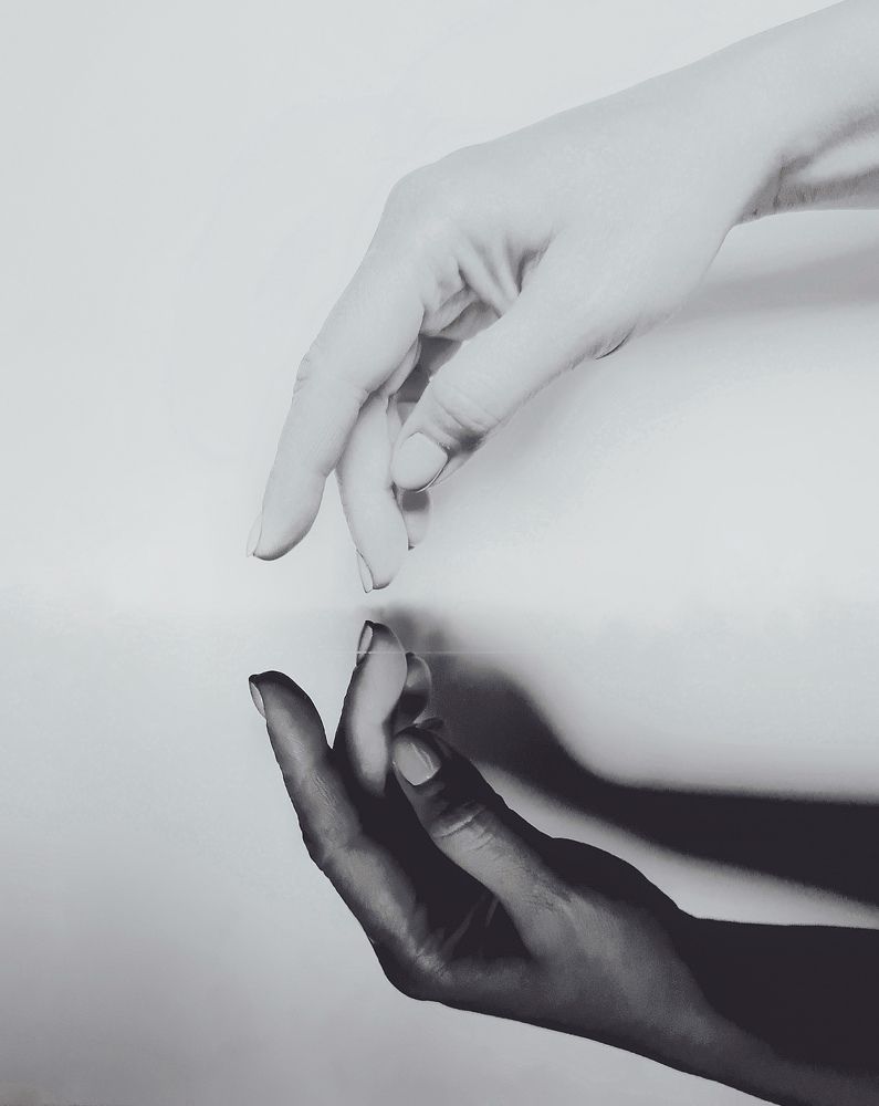 Photo #8103603