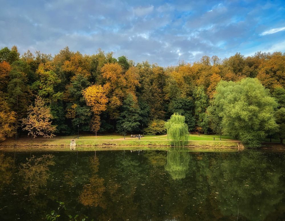 Зеркало осени