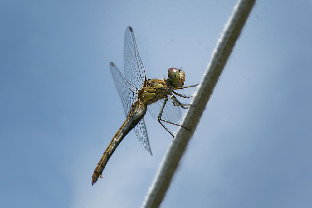 Photograph by Светлана Тарханова