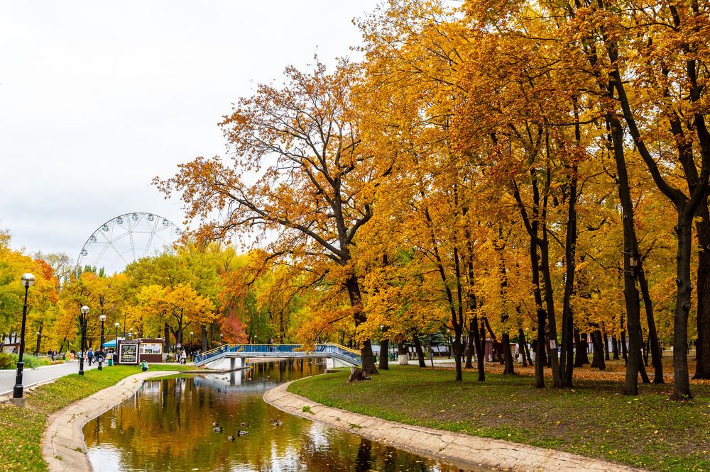 Photograph by Андрей Пшеничников