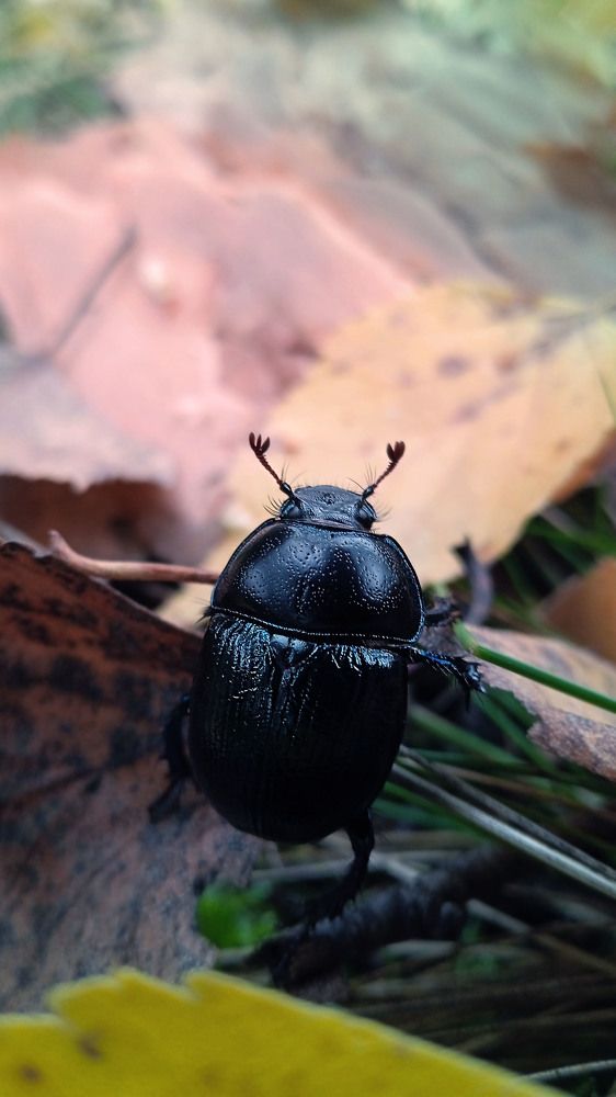 Photograph by Екатерина Щербина