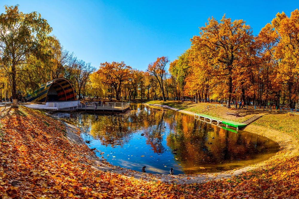 Photograph by Андрей Пшеничников