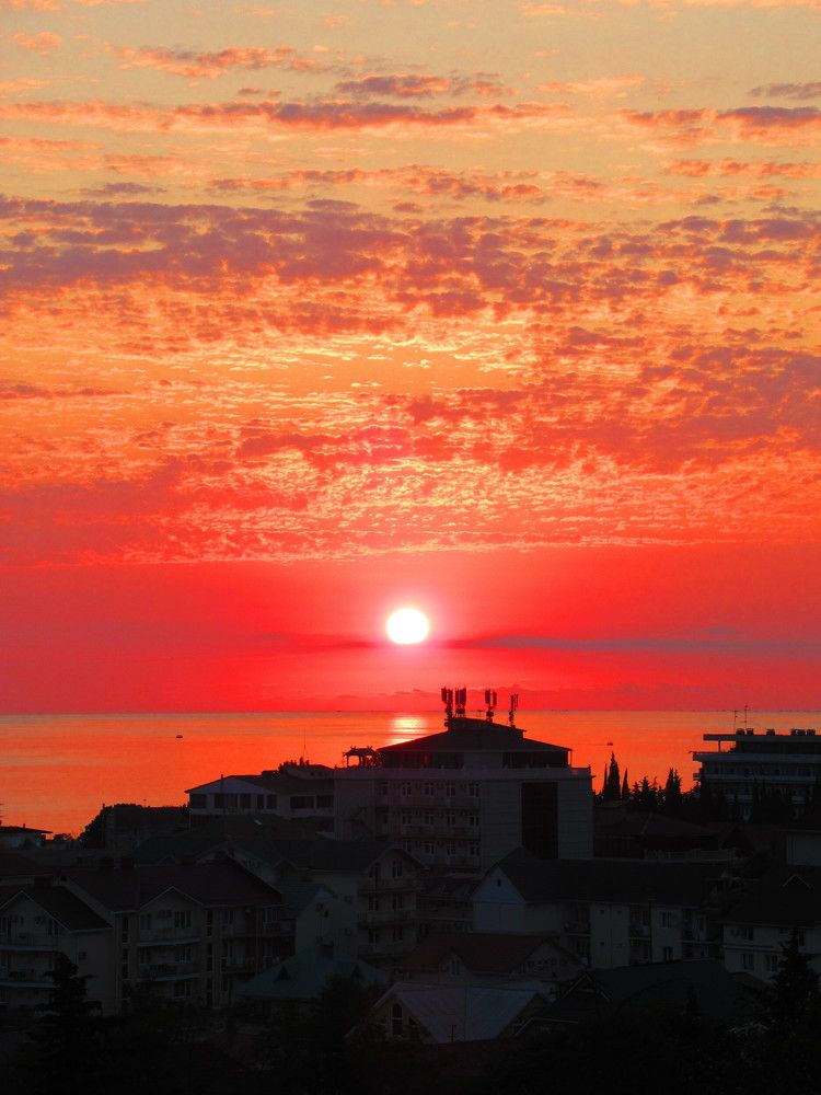 Photograph by Ольга Рогозина