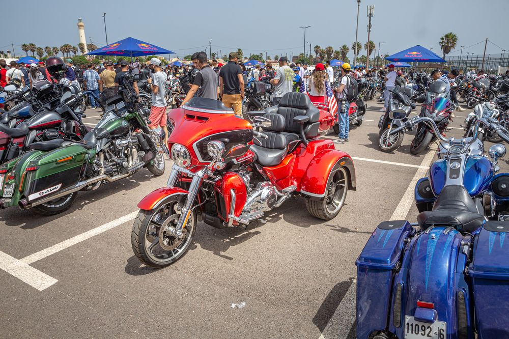 Photograph by Светлана Саиди