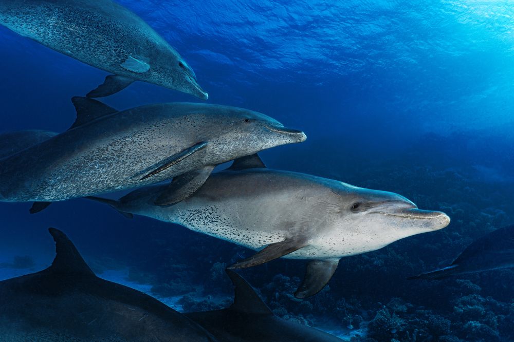 Photograph by Андрей Данильченко