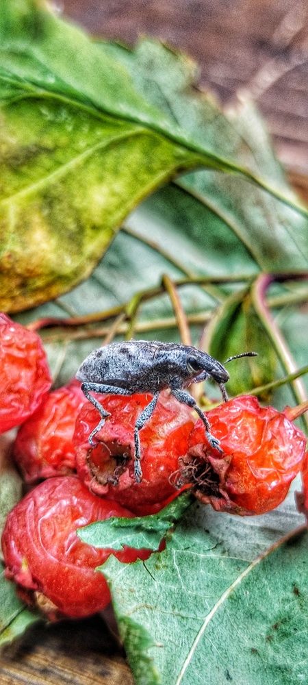 Photograph by Валентин Волк