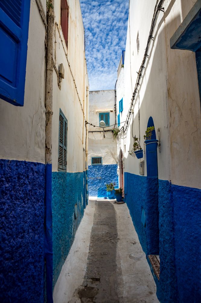 Photograph by Светлана Саиди