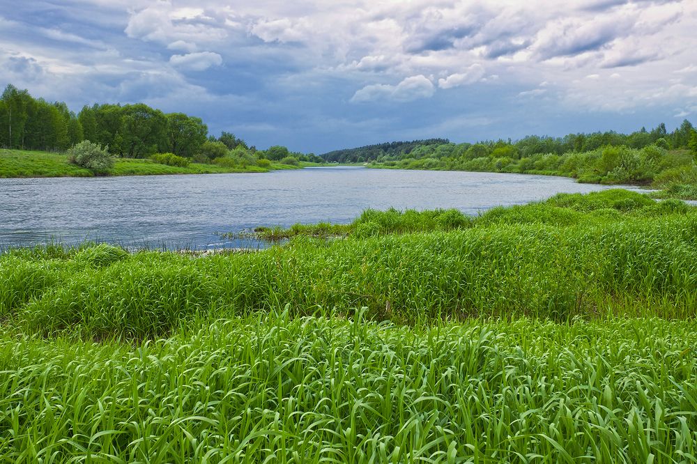 Photograph by Анатолий Максимов