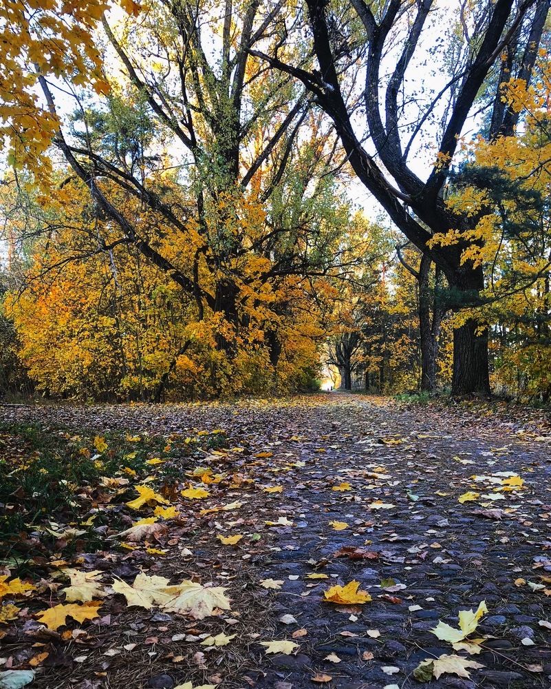 Photograph by Лариса Акинчиц