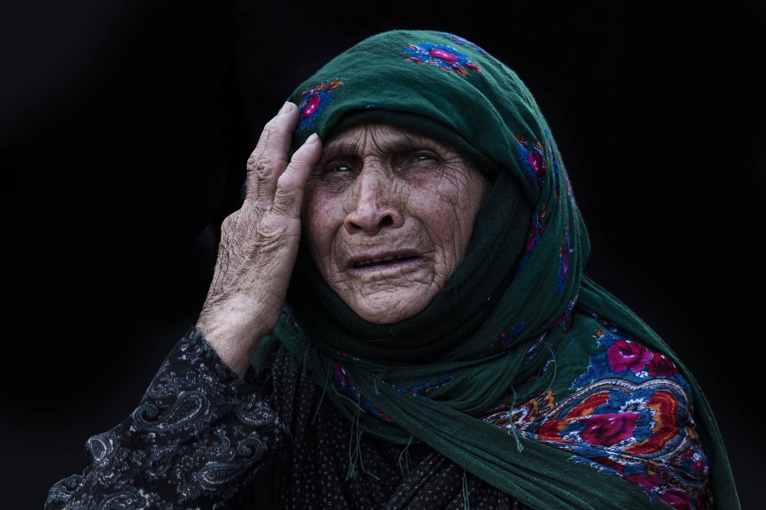 Фотография #8103903