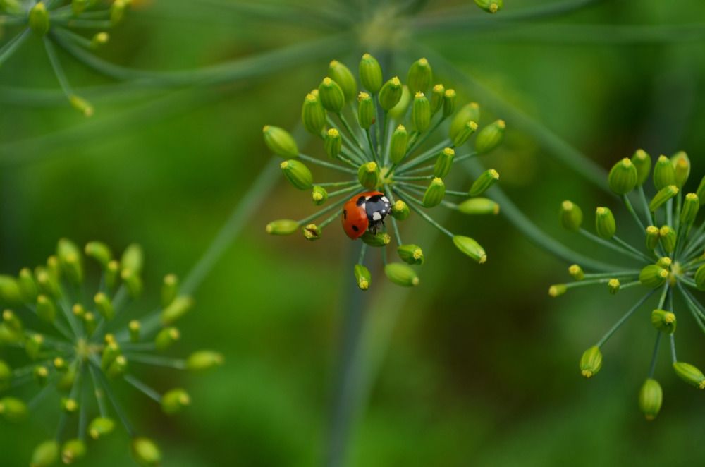 Photograph by Дарья Миронова