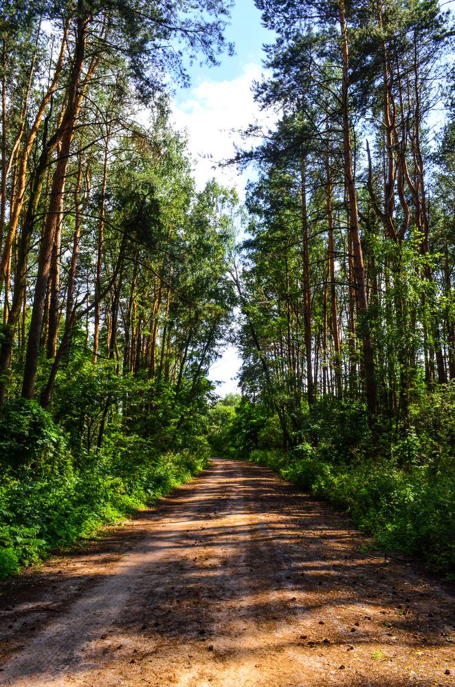 Photograph by Дарья Миронова