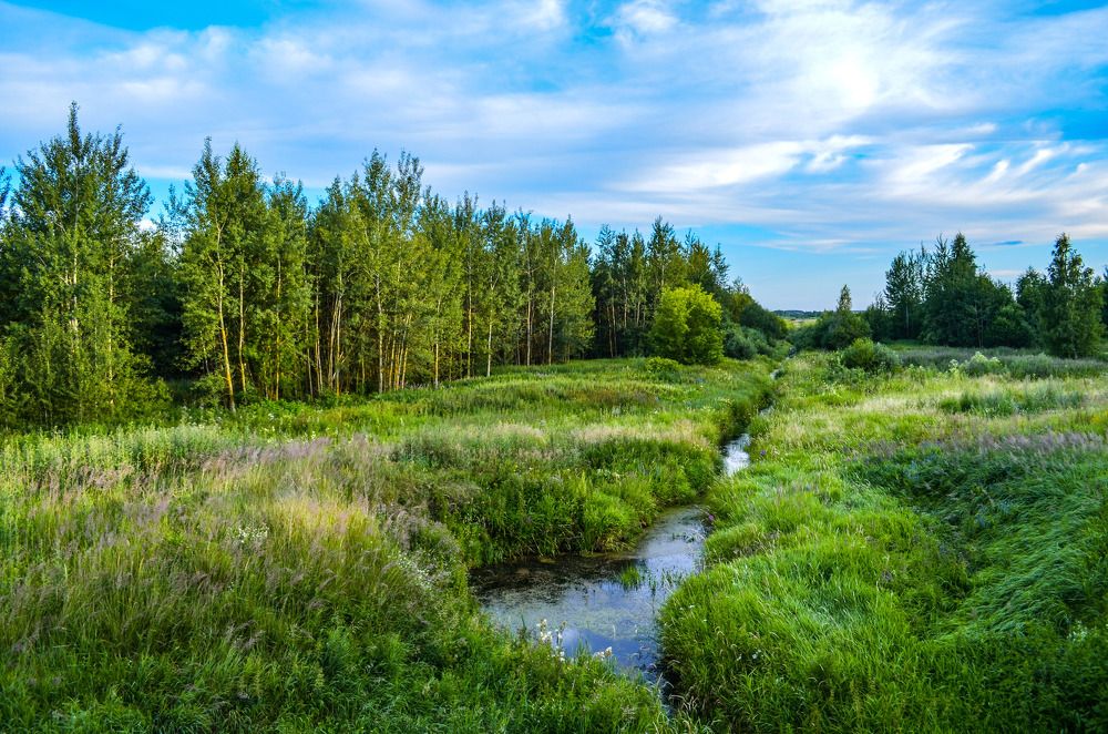 Photograph by Дарья Миронова