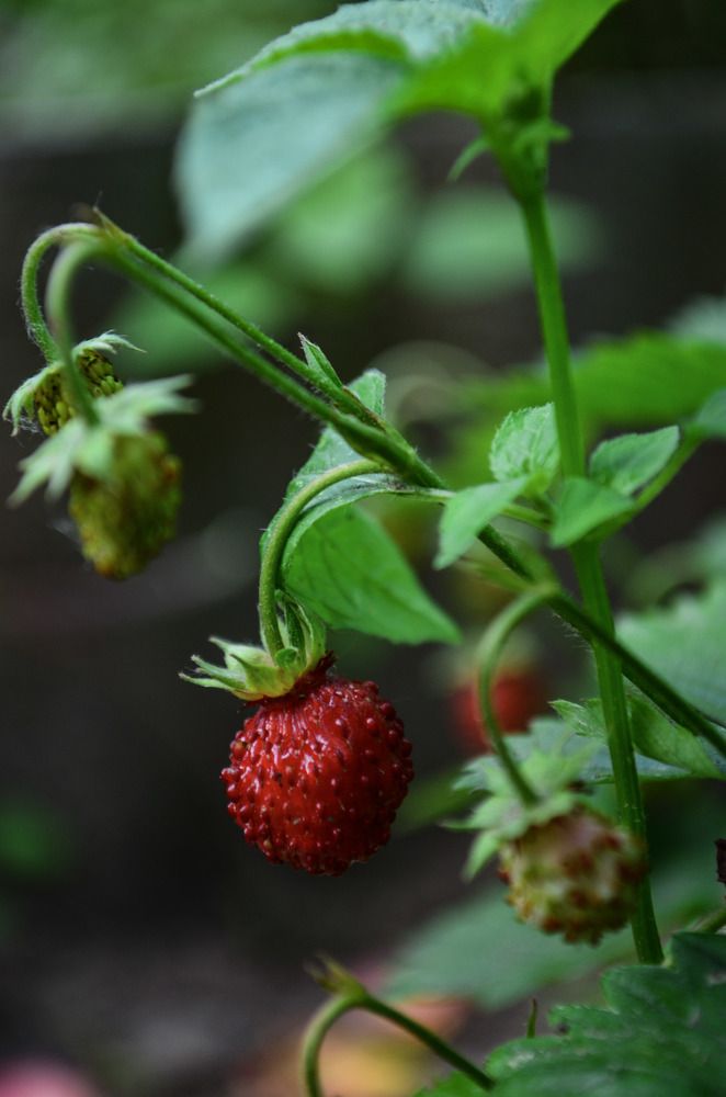 Photograph by Дарья Миронова