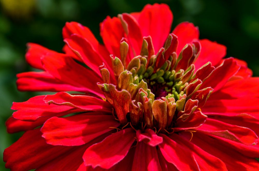 Photograph by Дарья Миронова