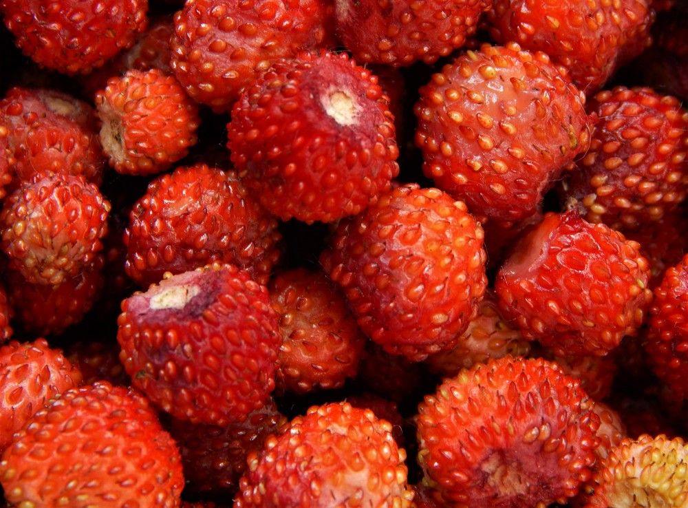 Photograph by Ирина Самойленко