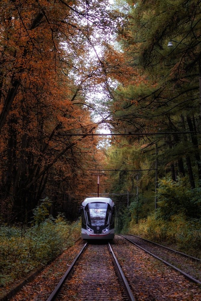 Photograph by Ксения Майорова