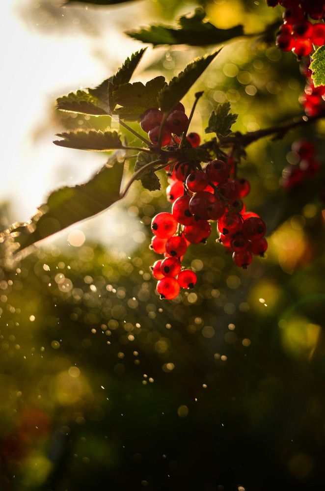 Photograph by Аряева Анна