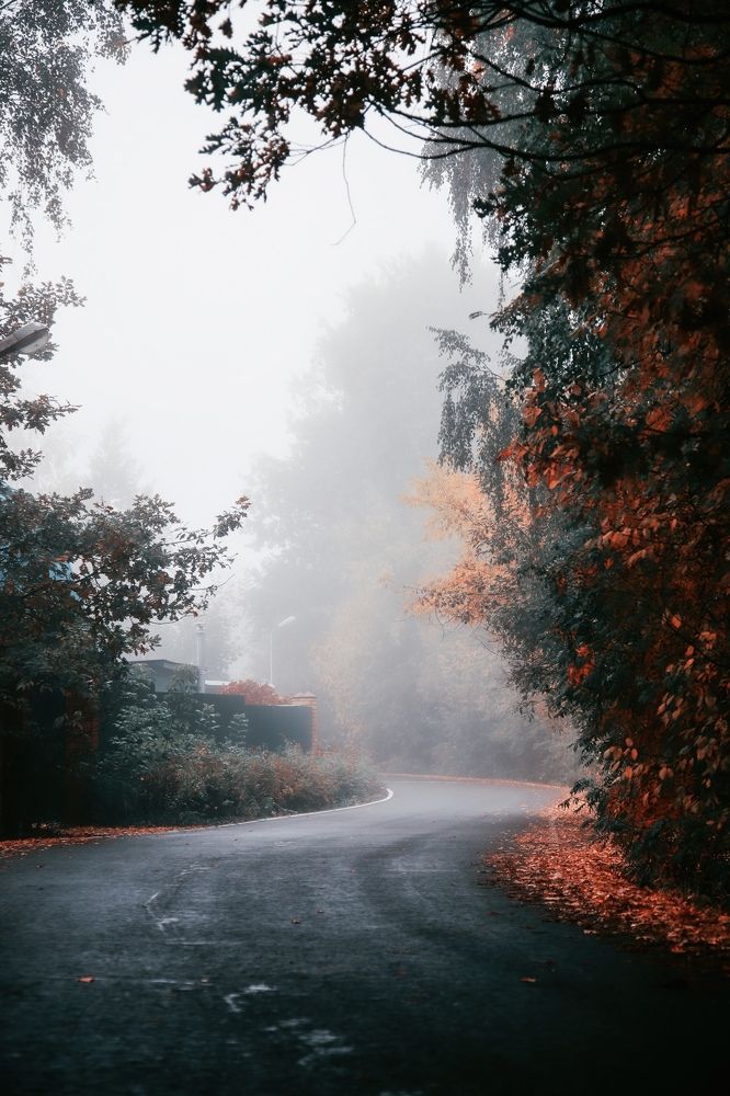 Фотография автора Валерия Витте