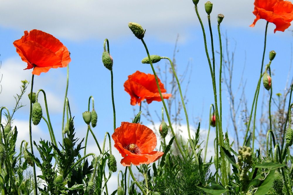 Photograph by Татьяна Калугина