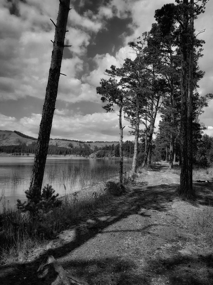 Photograph by Ксения Олина