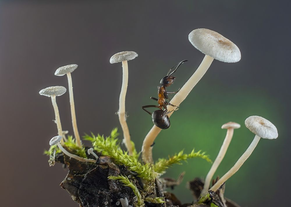 Photograph by Людмила Железнова